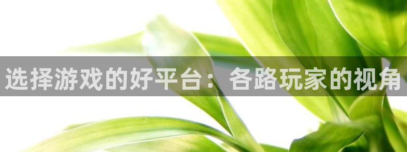 蓝冠娱乐网页版地址：选择游戏的好平台：各路玩家的视角
